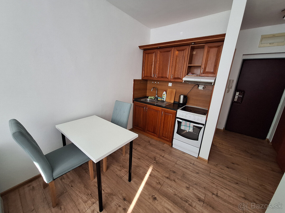 Prenájom väčšej prerobenej garsónky - 2