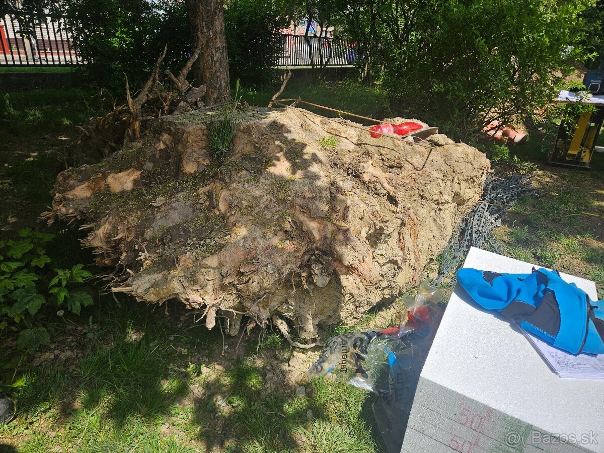 darujem za odvoz - 2