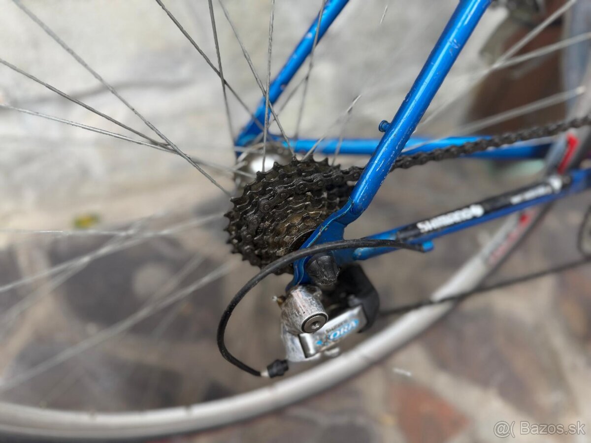 Retro cestný bicykel VECTOR Synchro - 2