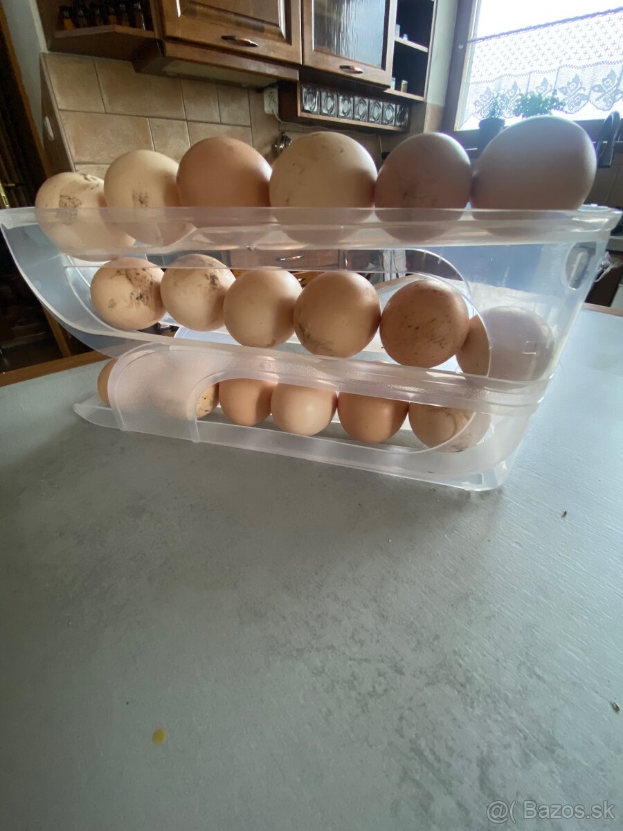Domáce vajcia - 2