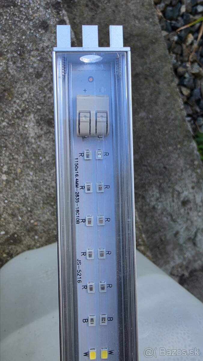Grown Led - 2