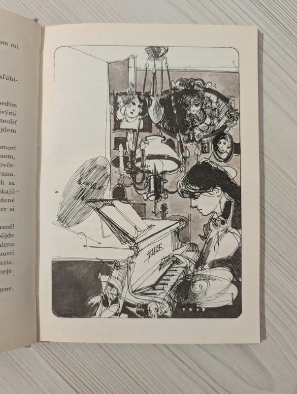 "Makovník plechom obitý" Miťo Vitéz - Kniha s obrázkami - 2