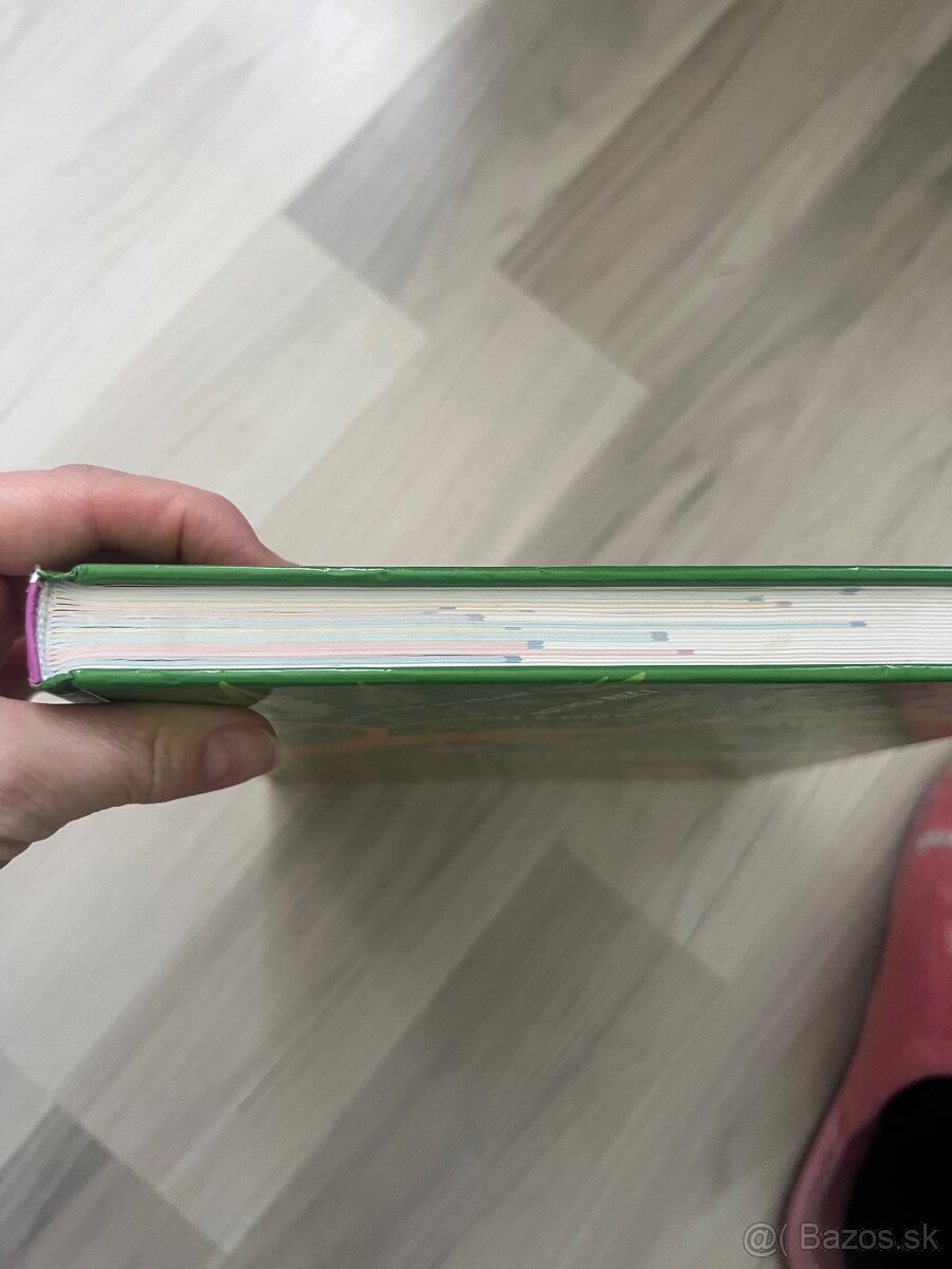 Encyklopédia predškoláka - 2