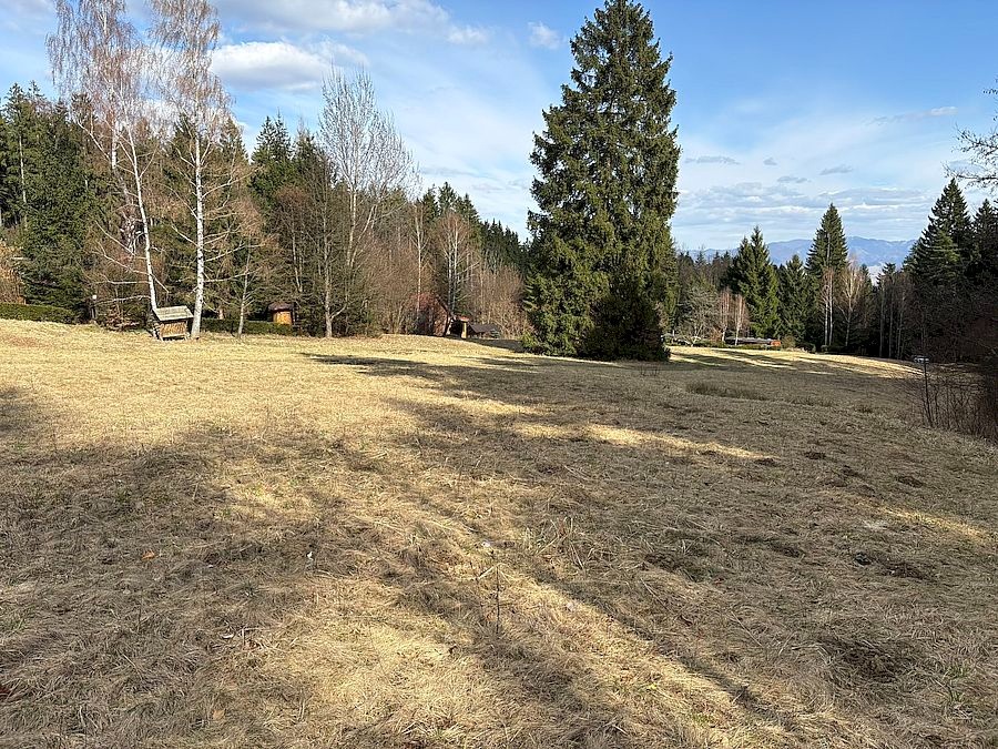 Pozemok nad Lazkami 7767 m2 - obec Bystrička - 2