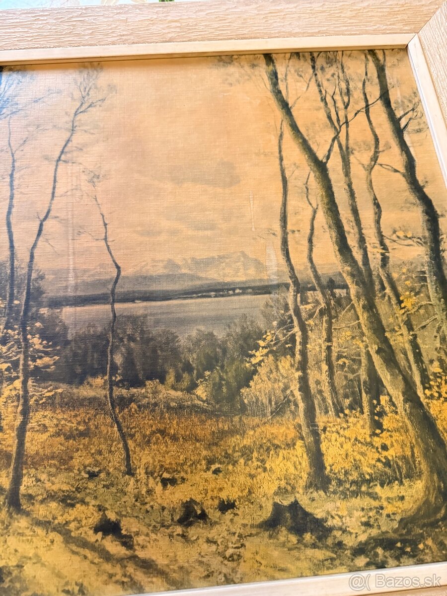 Obraz Josef Schoyerer (1844-1923) early spring - 2