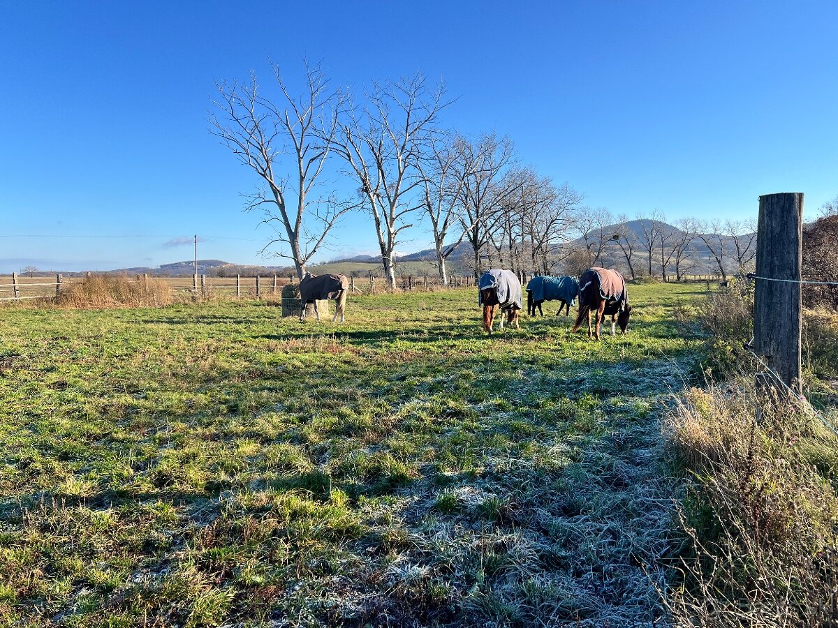 Ponúkame ustajnenie - 2