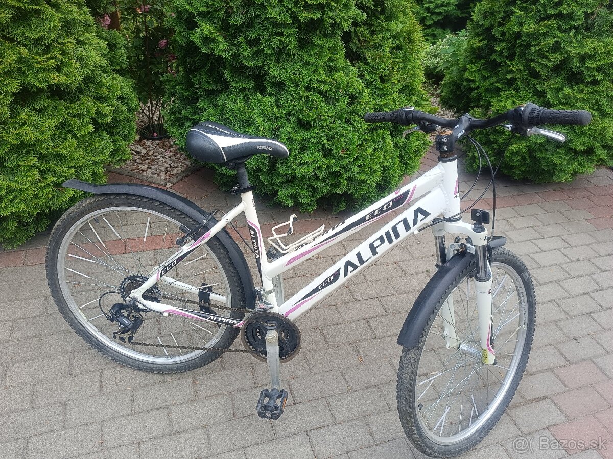Kellys Alpina - 2