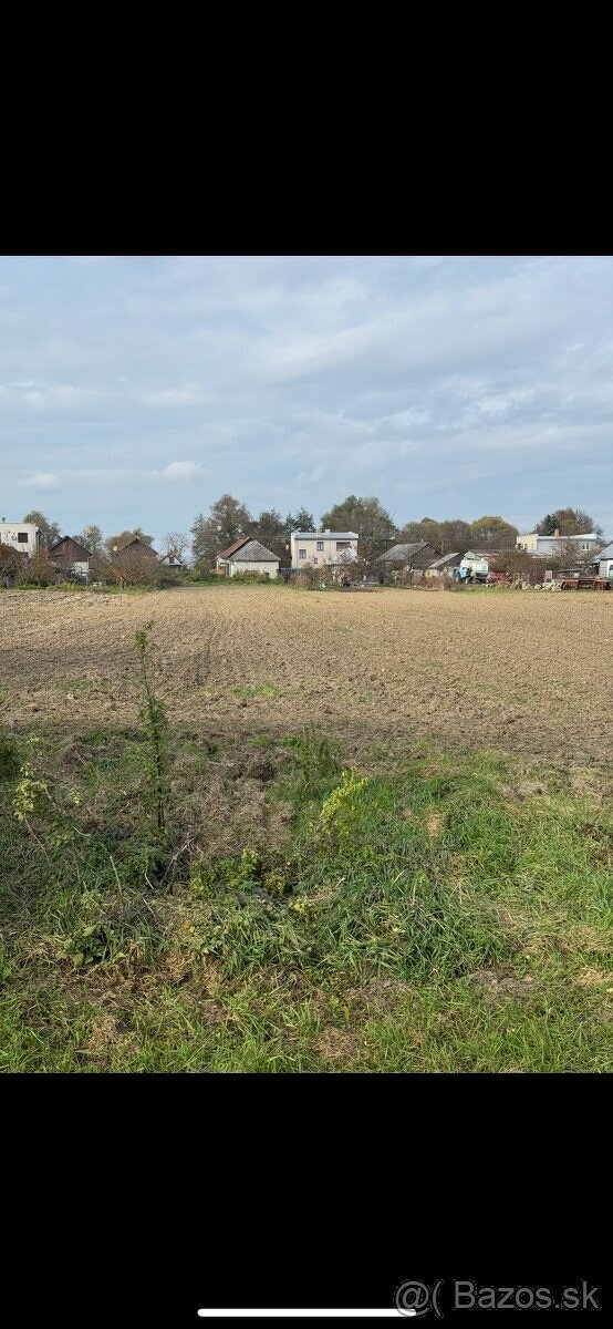 Prenajmem predám ornú pôdu/záhradu 28arov - 2