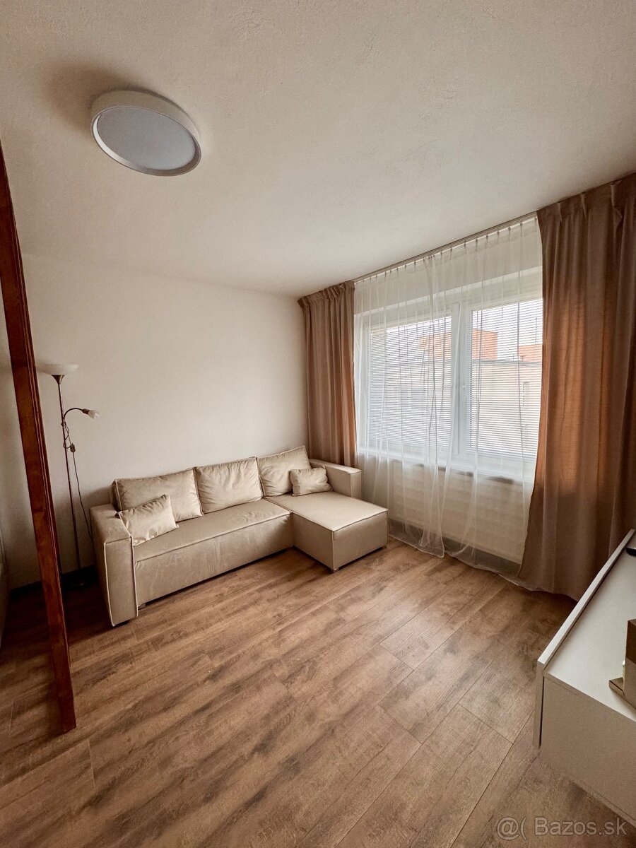 Veľký 1 izbový byt Podbreziny - 2