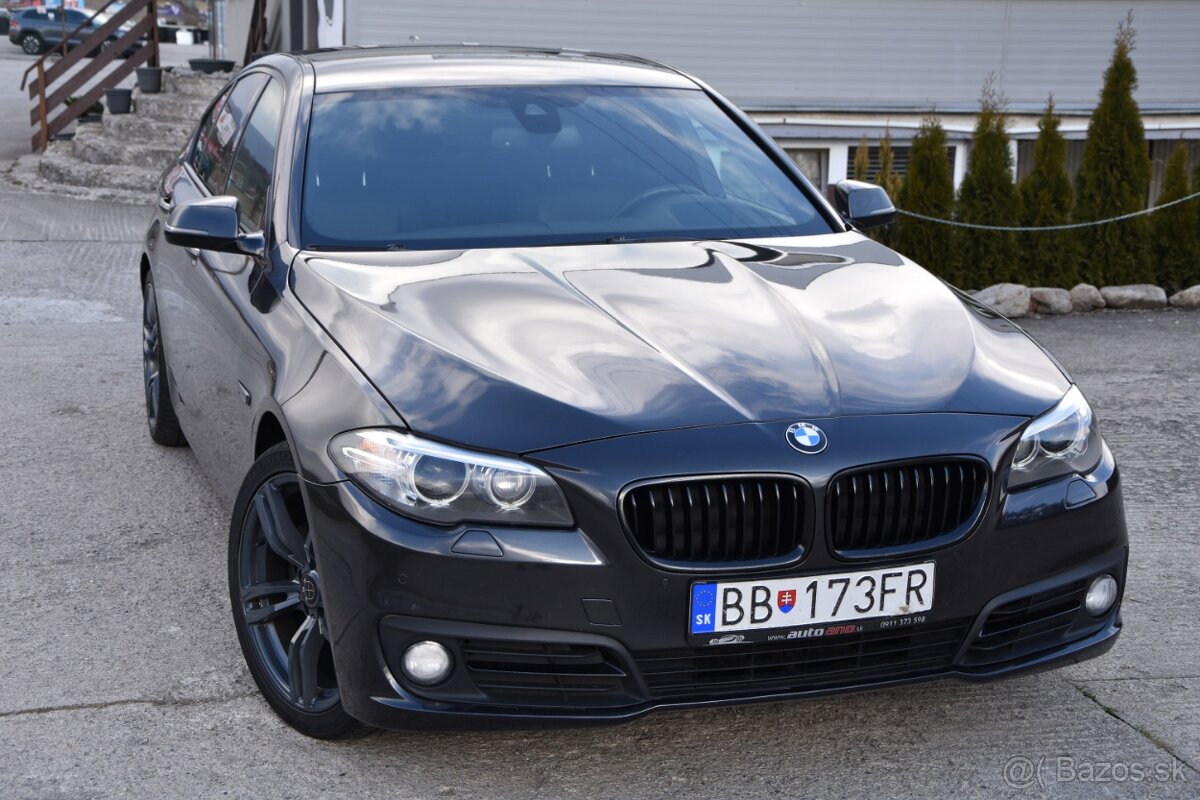 BMW Rad 5 520d xDrive A/T - 2