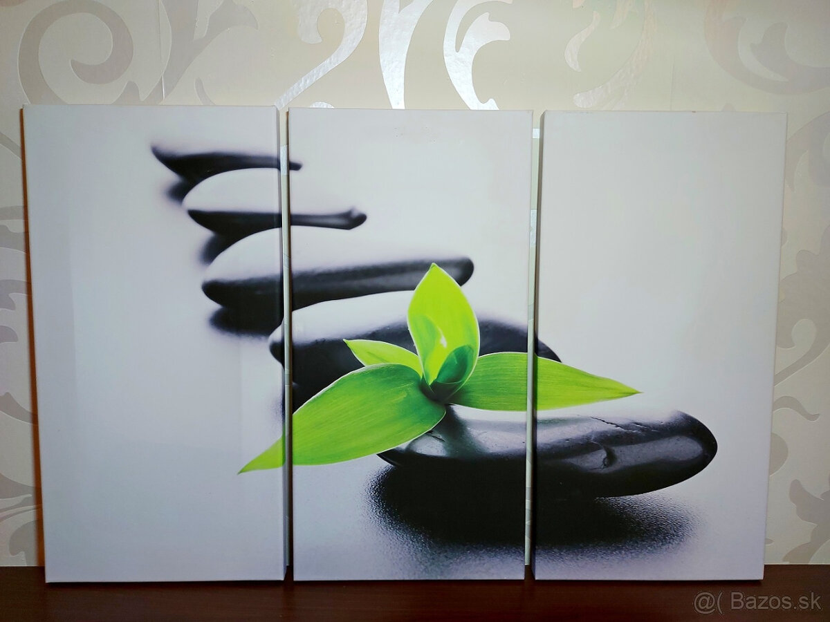 Trojobraz Zen - 2