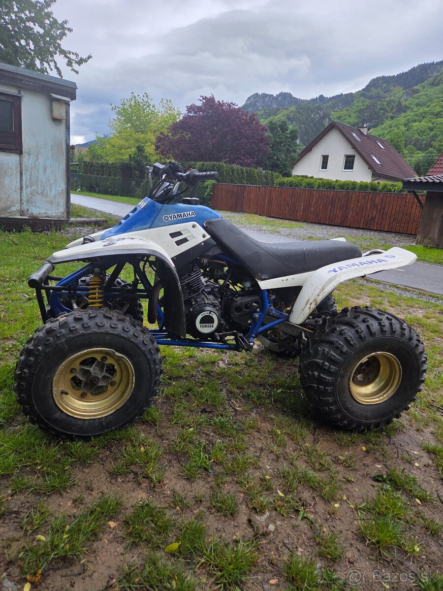 Yamaha warrior 350
