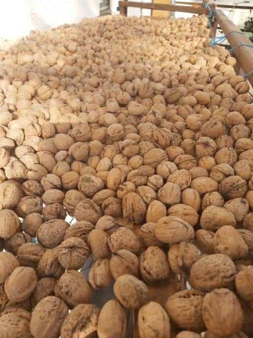 🌰 ČERSTVÉ DOMÁCE ORECHY A MAK - 2