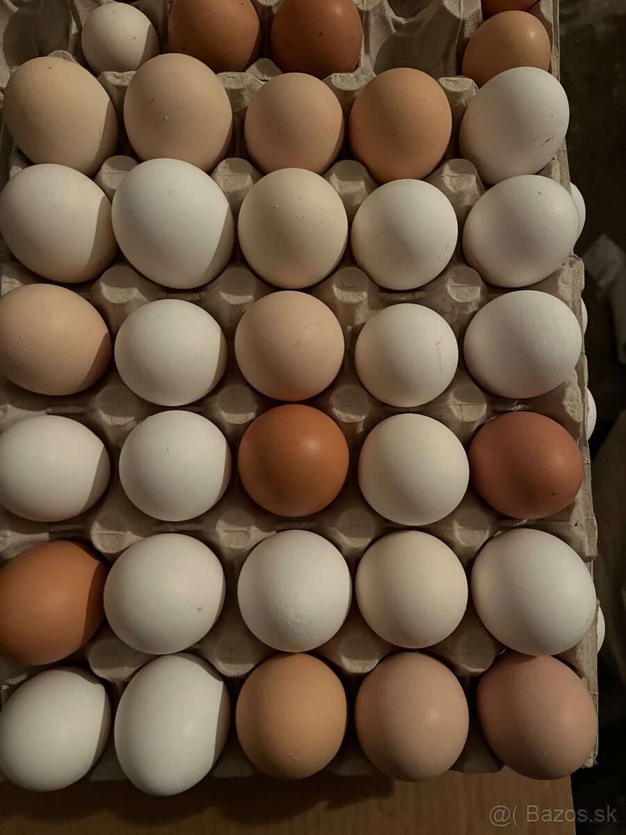 Domáce vajíčka - 2