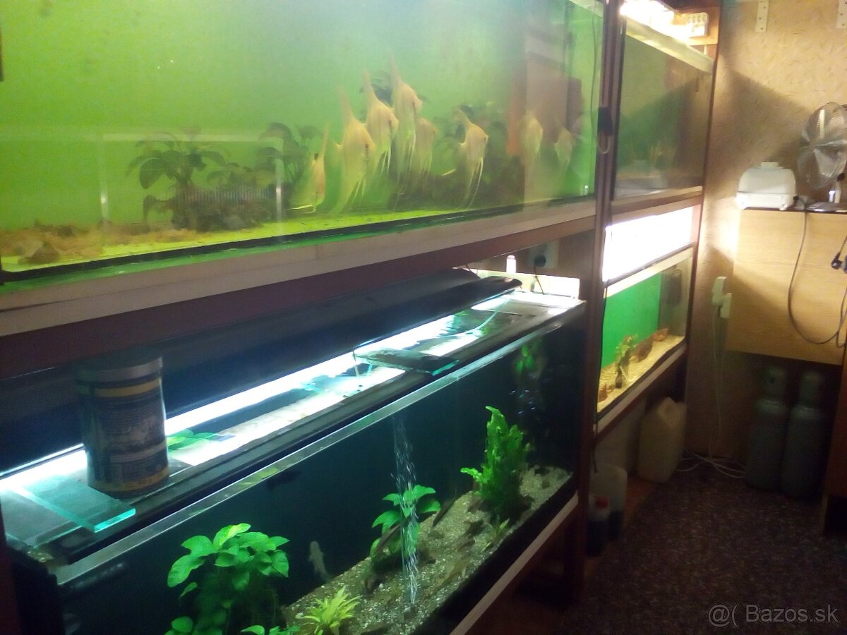 Akváriová stena - 2