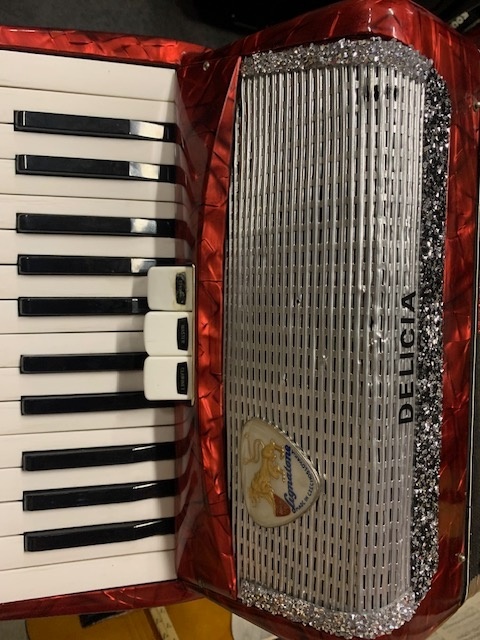 Akordeón Delicia - 2