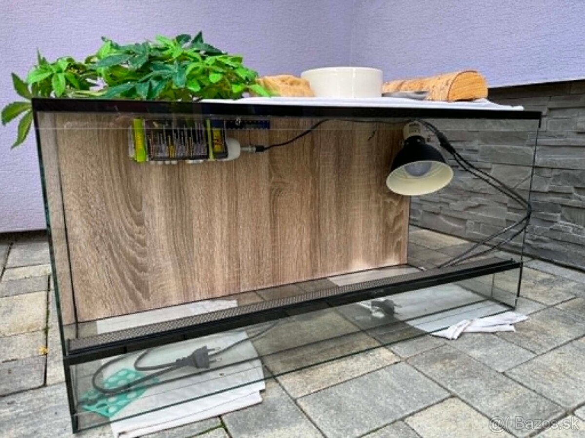TERARIUM - 2