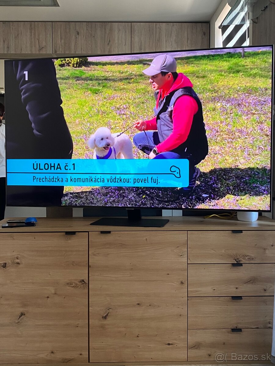 Predam samsung QE65Q80AAT 65” QLED - 2