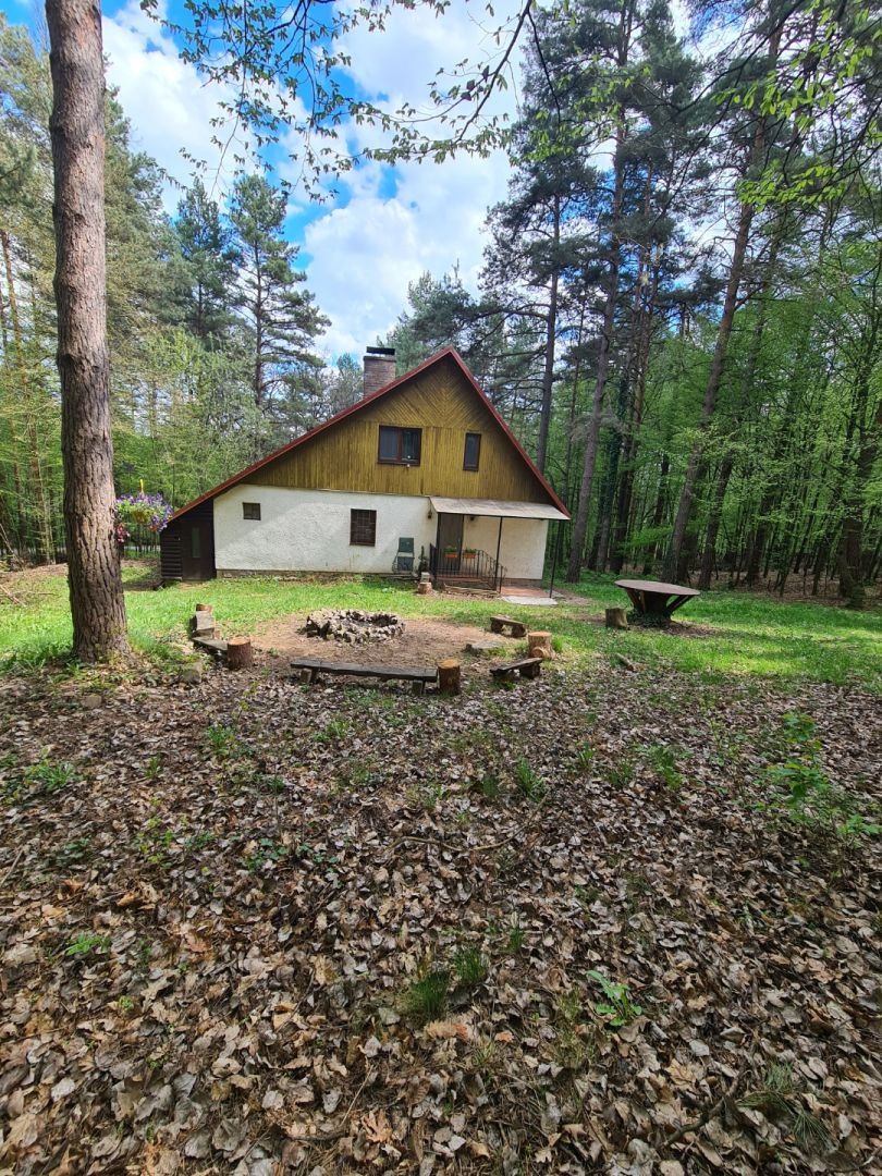 Zaujímavá pekná priestranná murovaná chata v prírode - 2