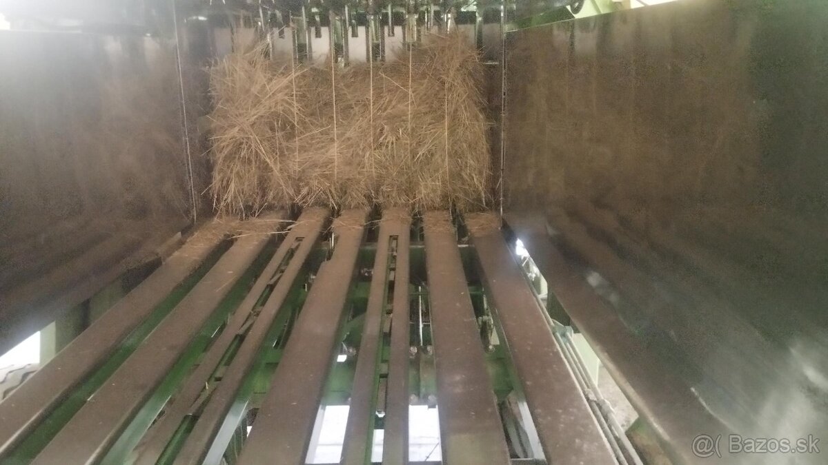 Krone Lis - 2
