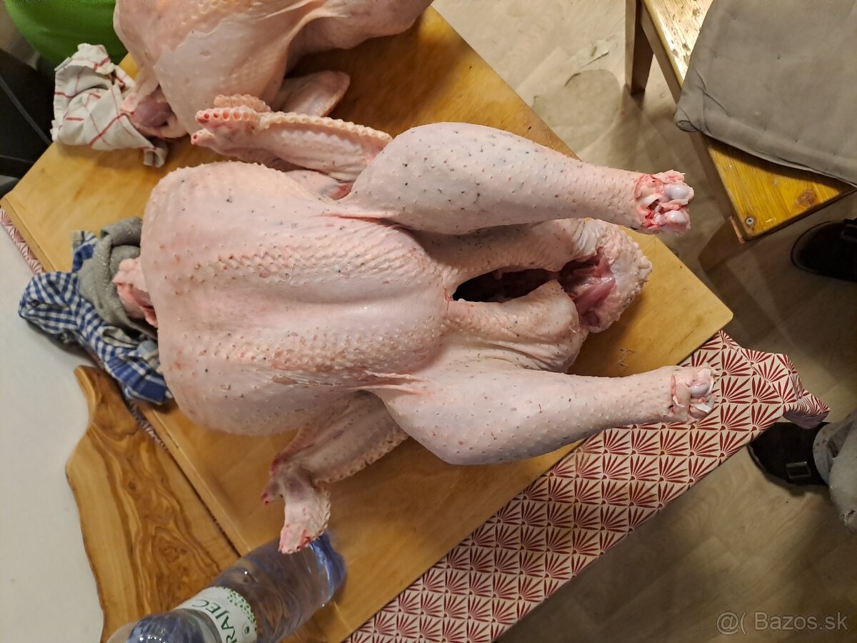 Predám zabite očistené morky - 2