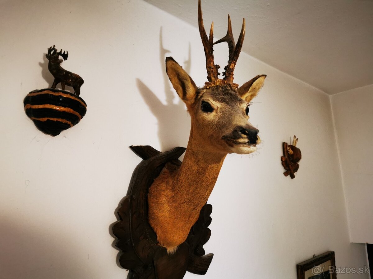 Srnec a ine troeje - 2