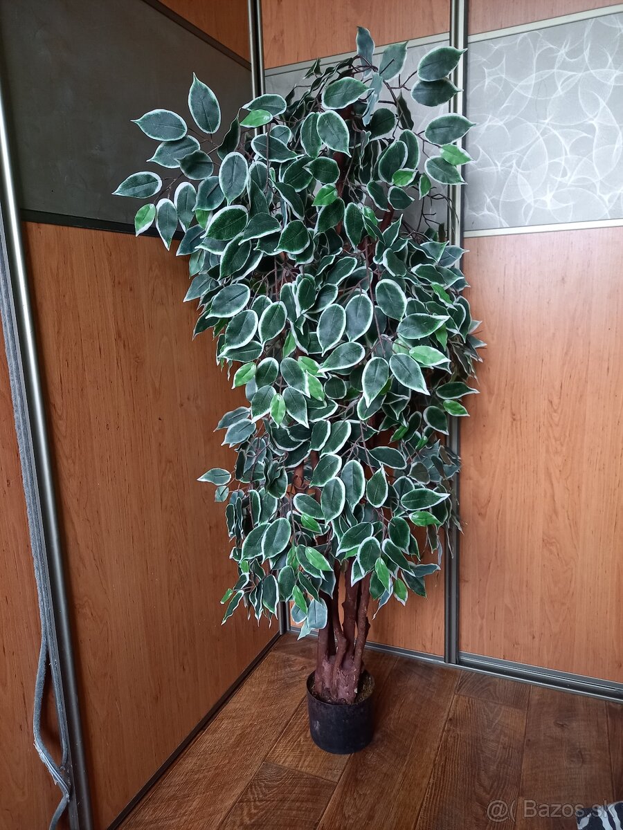 Umelý fikus - 2