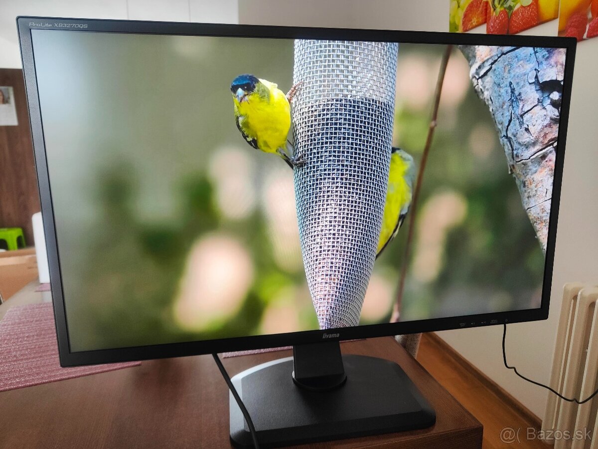 Monitor iiyama 32' - 2K IPS Pivot - 2