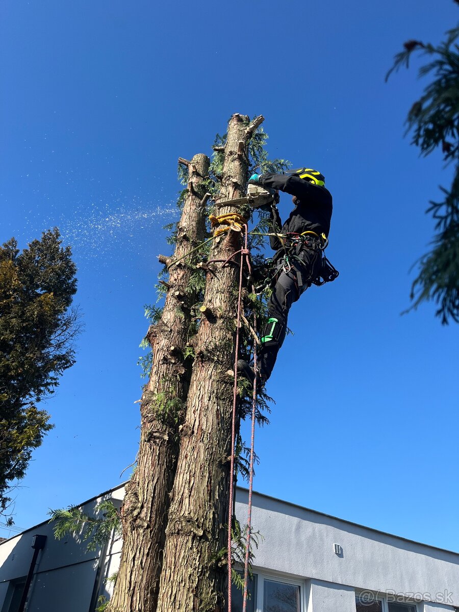 Arboristika, záhradnícke práce - 2