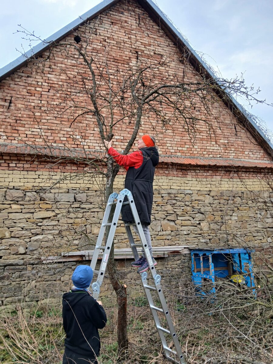 Orezavanie, pilenie a strihanie stromov, drevín - 2
