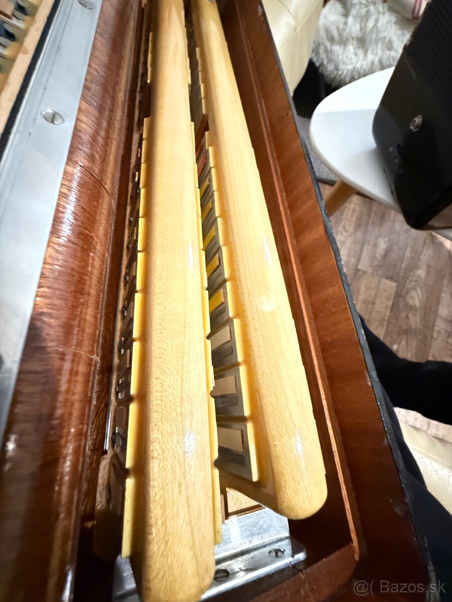 Weltmeister Supita - 2