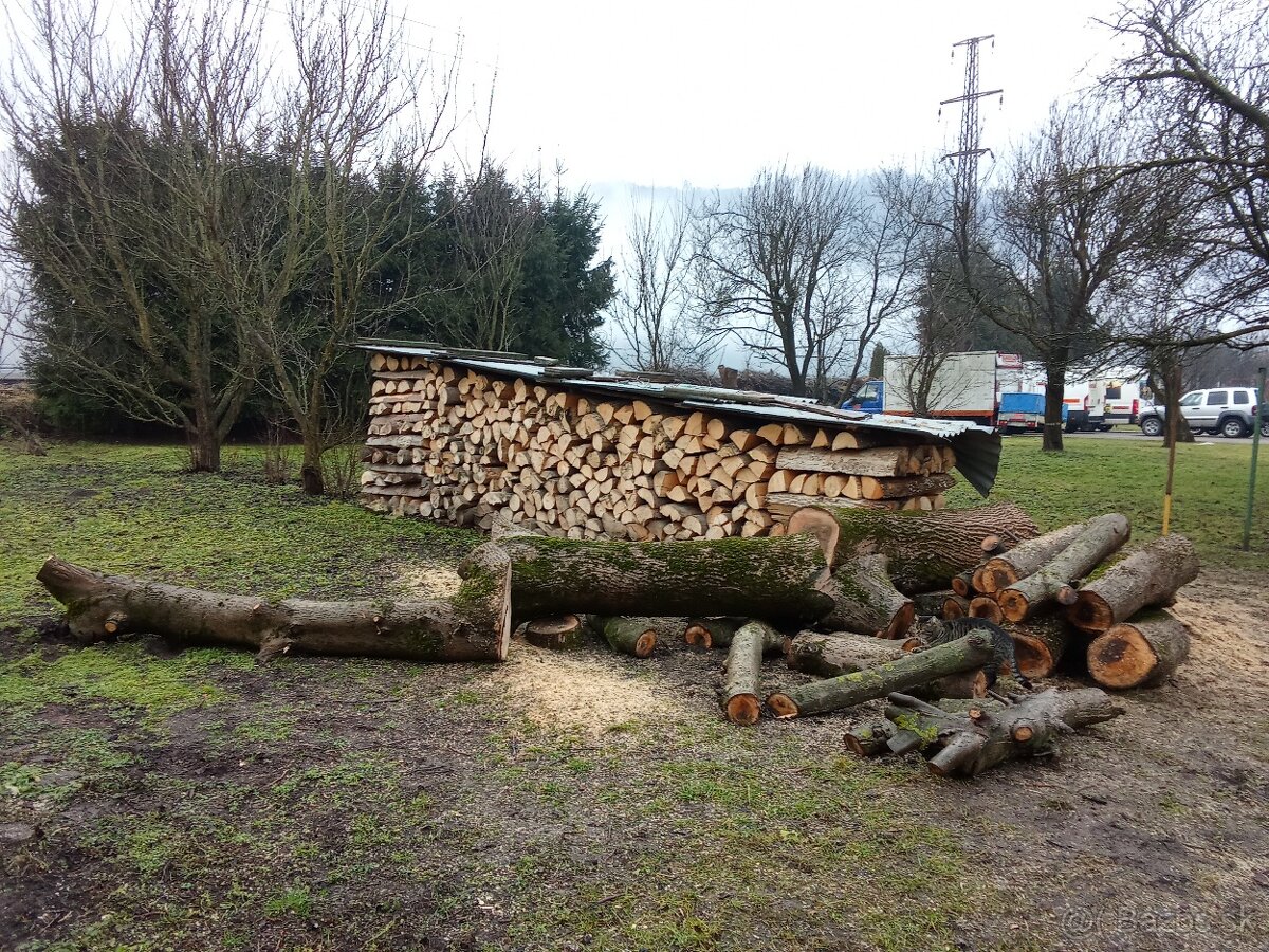 Predám orechové drevo - 2