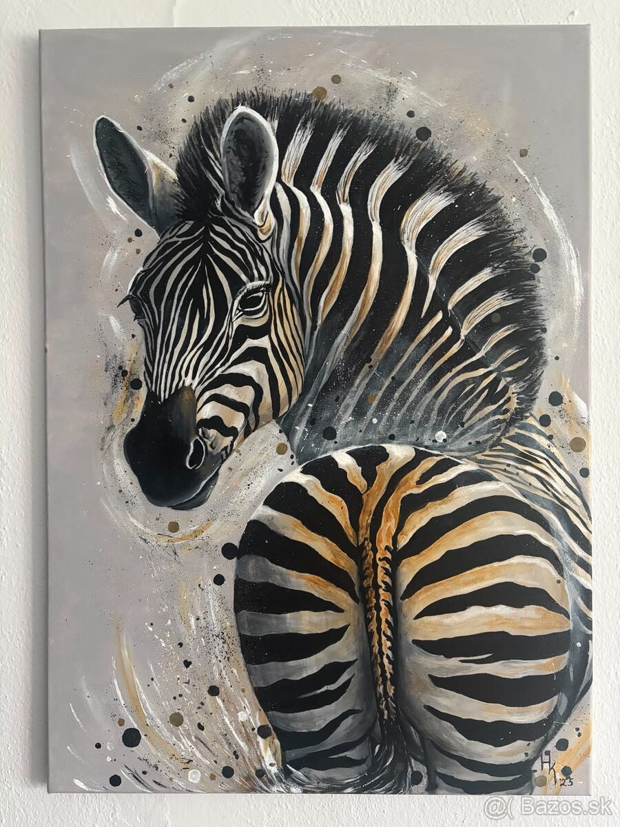 Zebra obraz na plátne olejomaľba - 2
