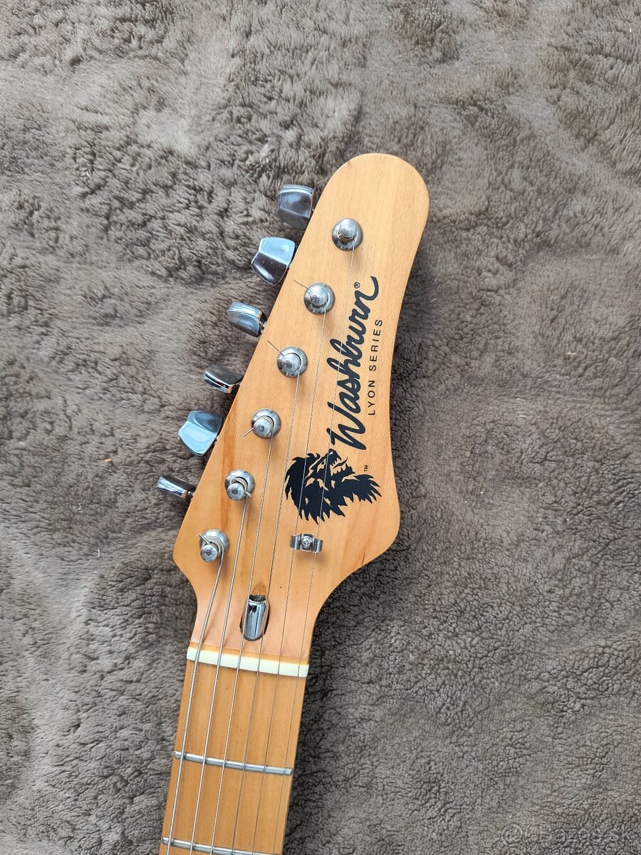 Washburn Lyon Series 1995 - 2
