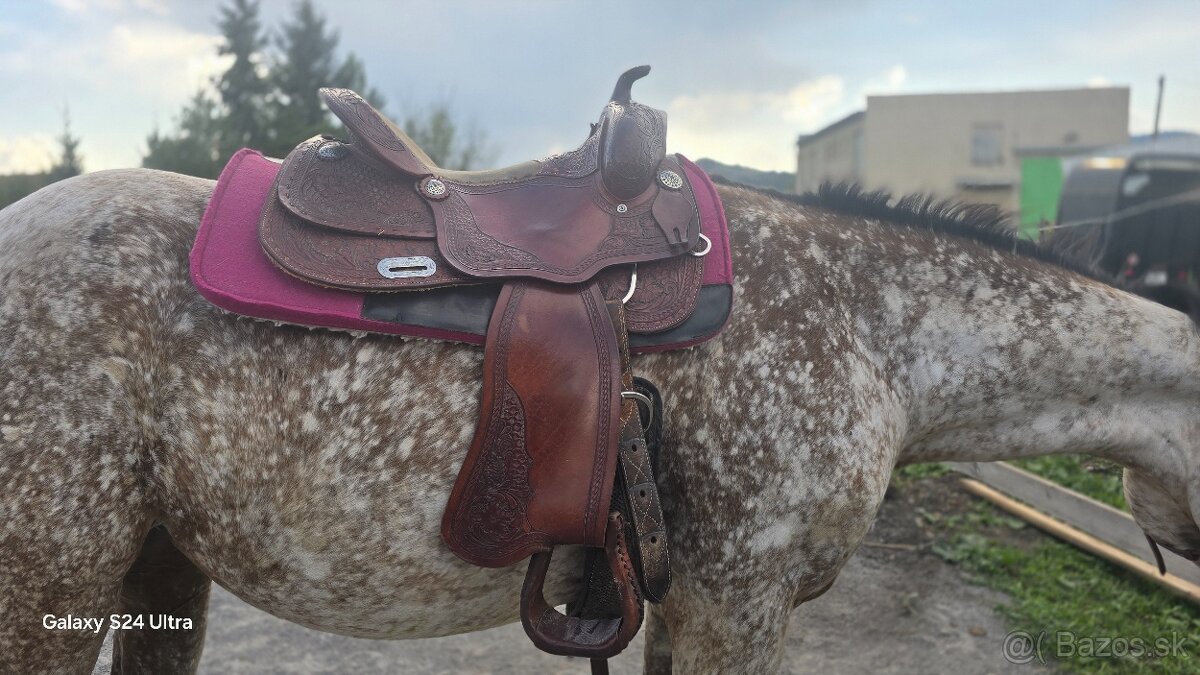 Westernove sedlo - 2