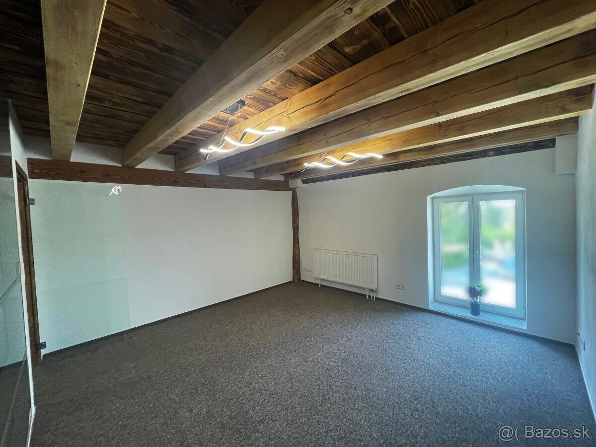 Reprezentatívny priestor 20m² Partizánske - 2