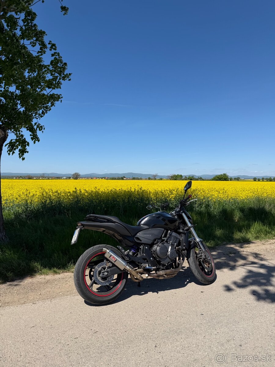 Honda Hornet 600 PC41 - 2
