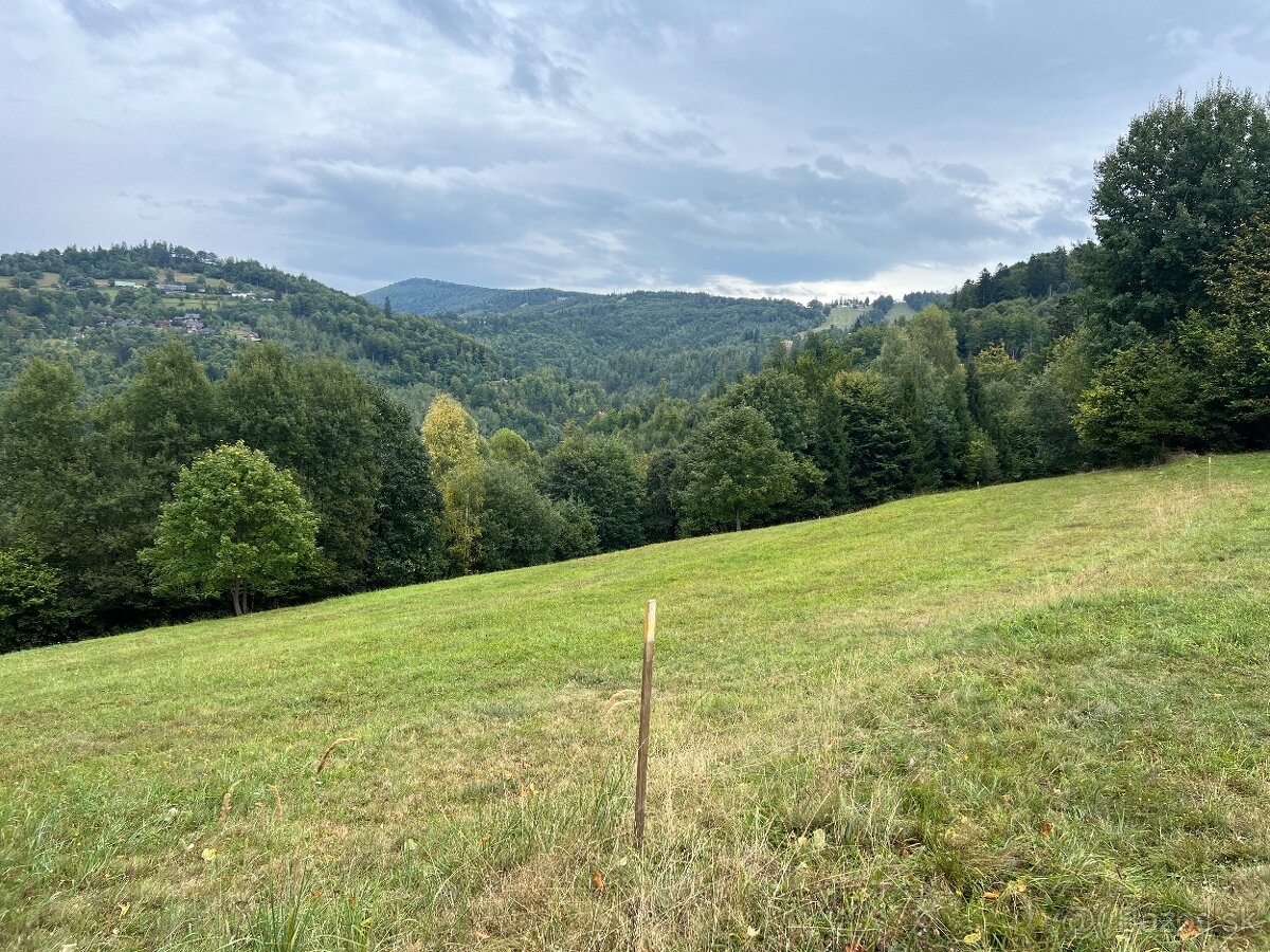 Predáme tri pozemky v Oščadnici časť Dedovka Veľká Rača🎿 - 2