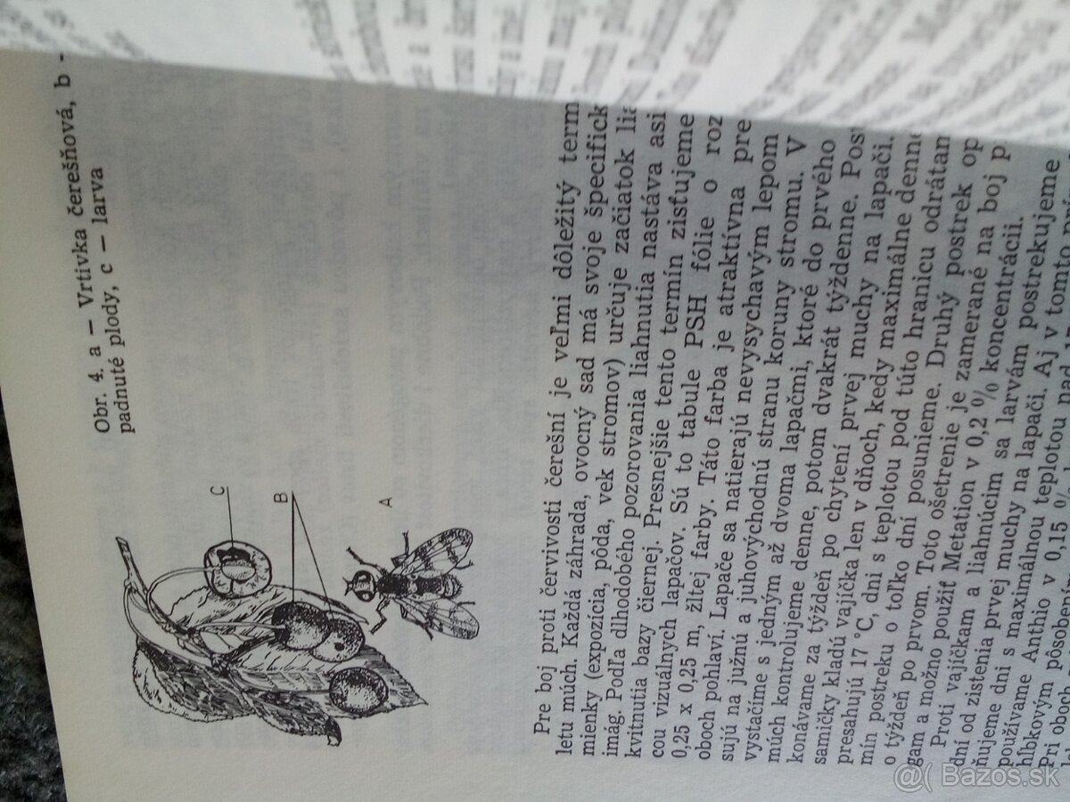 Poradca záhradkára - 2