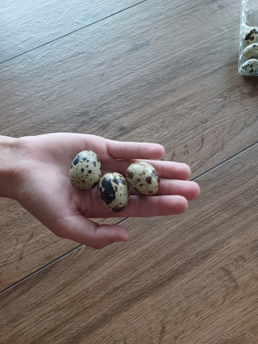 Prepelice vajíčka - 2