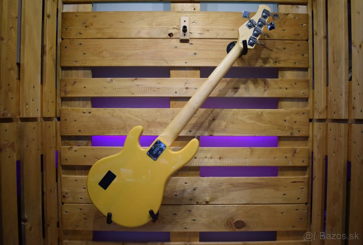 Sterling Ray 25 Classic - 2