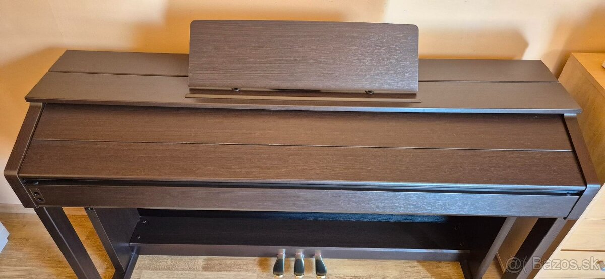 Casio Celvianio AP 450 - 2