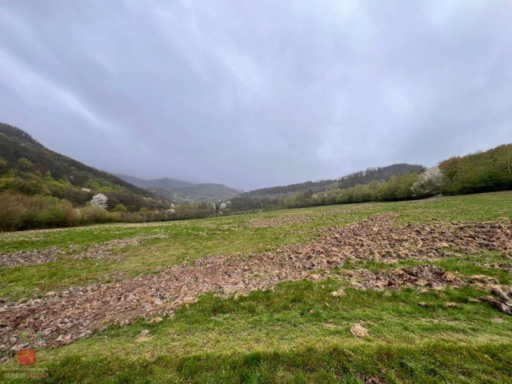 Ponúkam 11ha uceleného lesného pozemku s lúkami - 2
