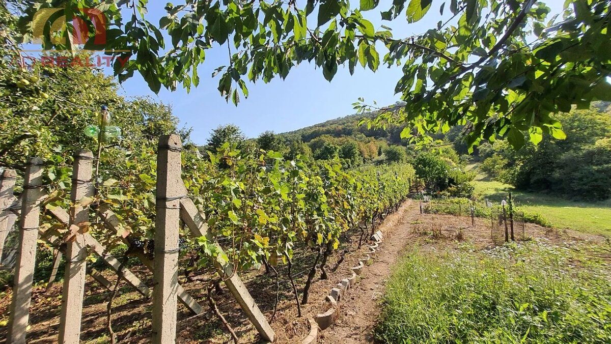 AD REALITY - VINICA - Trnava pri Laborci - 2