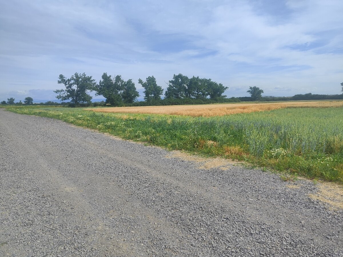 Zaujímavá investičná príležitosť - 2