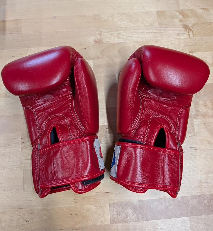 18oz rukavice box Fairtex - 2