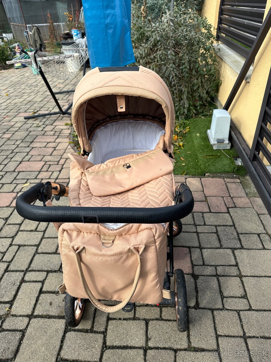 Kočiar coletto dante - 2