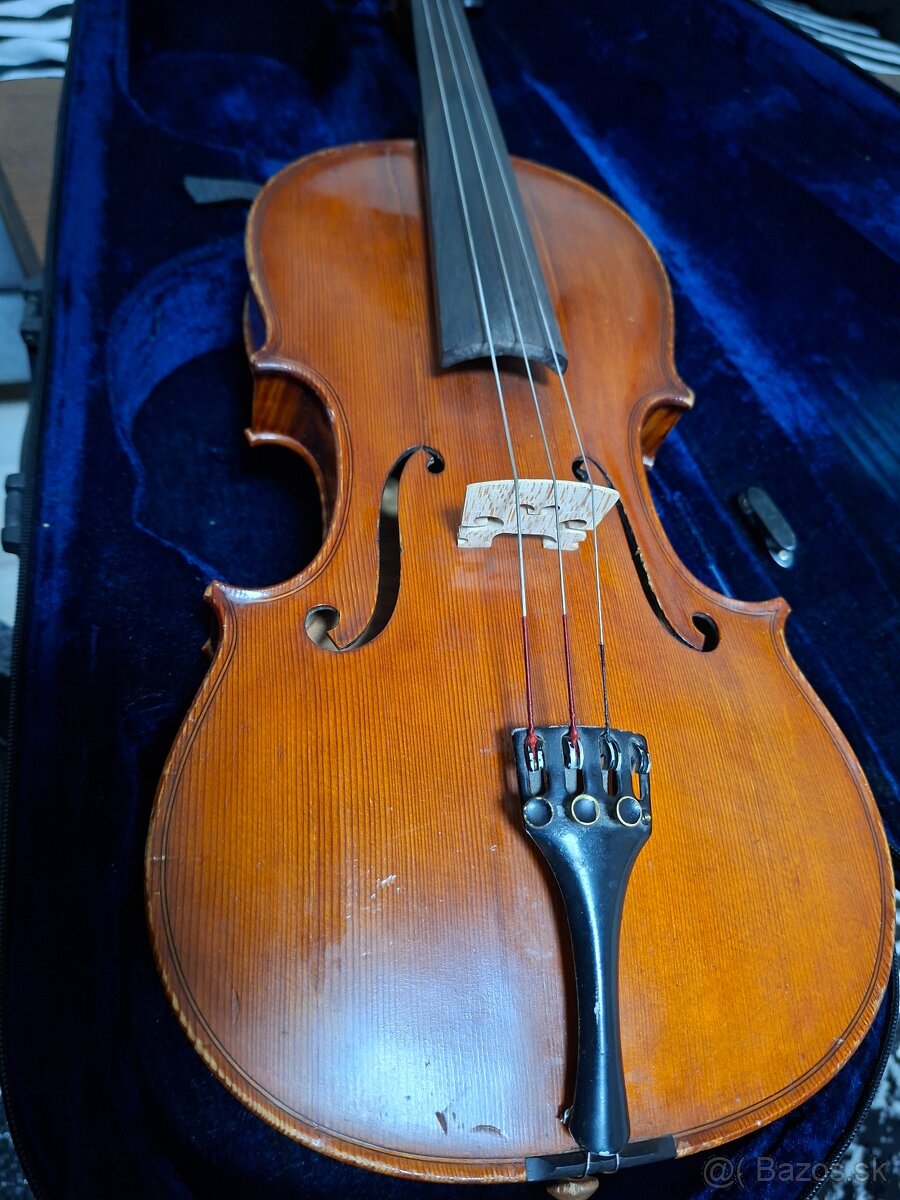 Viola - 2