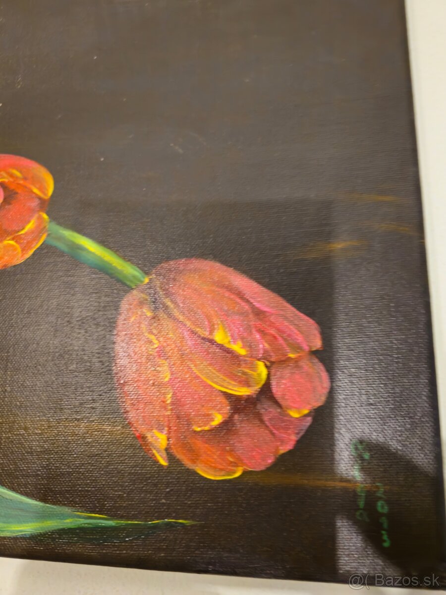 Obrsz akryl na plátne - 2