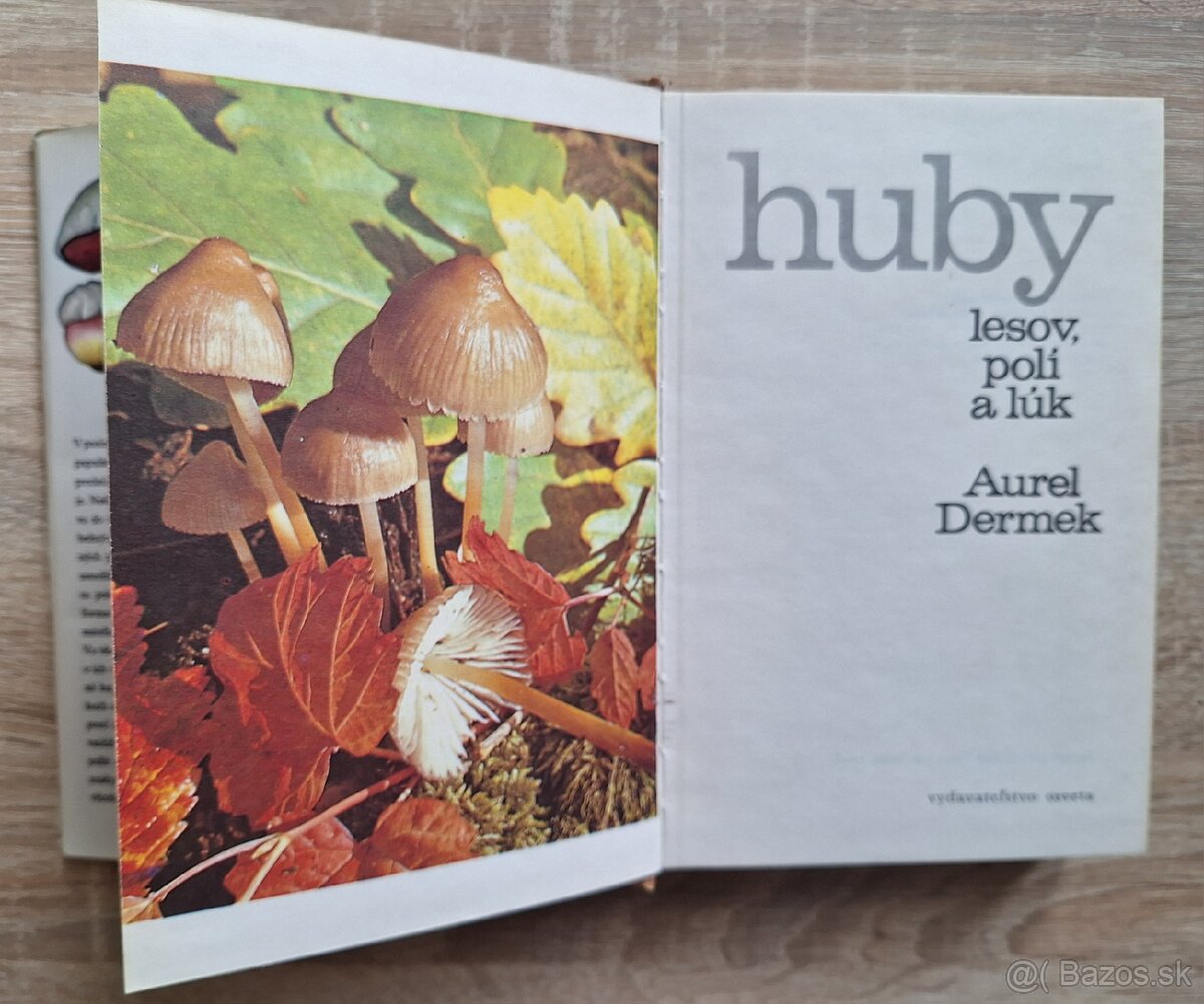 Huby lesov, poli a luk - 2